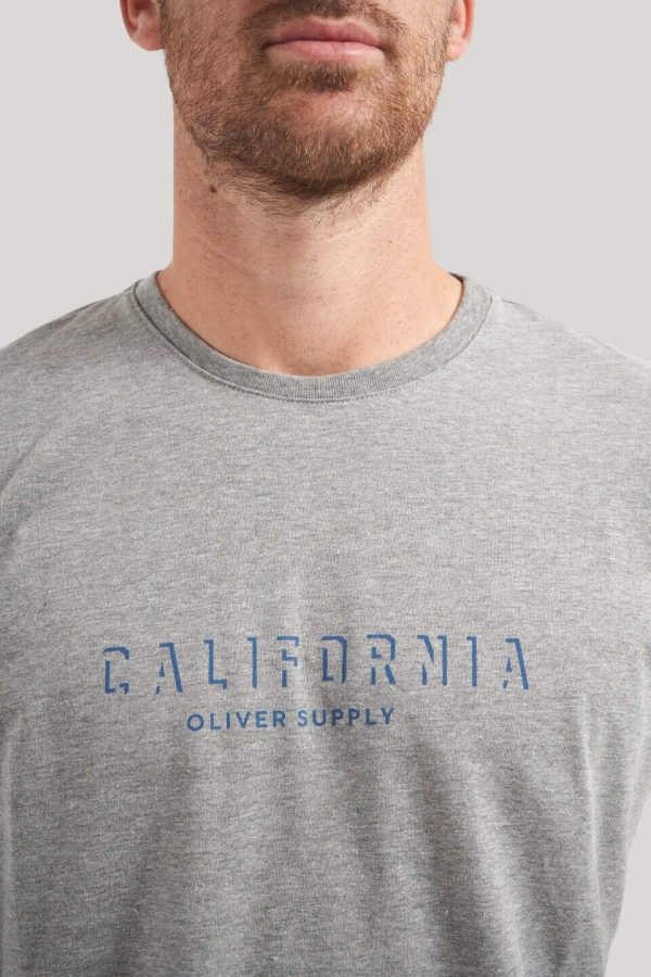 Remera de algodón gris California