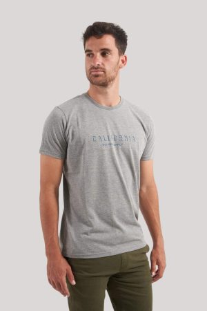 Remera de algodón gris California