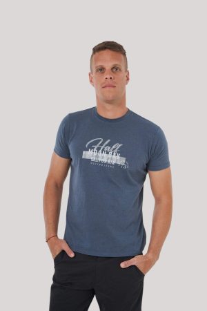 Remera color azulino melange