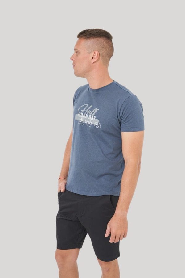 Remera color azulino melange