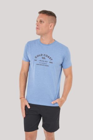 Remera color celeste melange