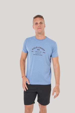 Remera color celeste melange