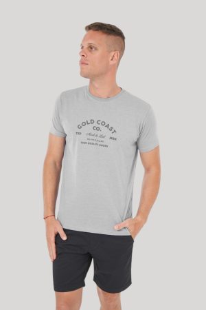 Remera color gris melange