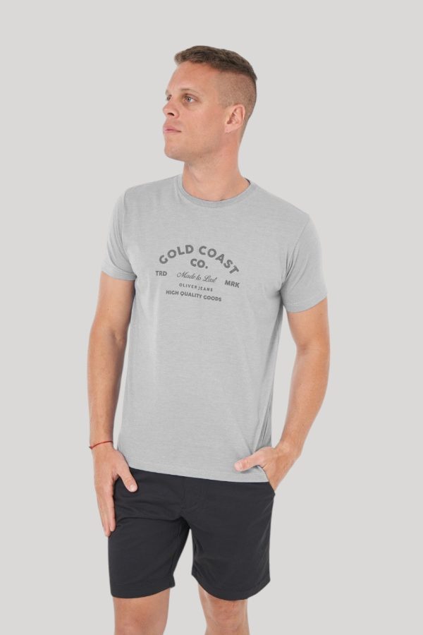 Remera color gris melange