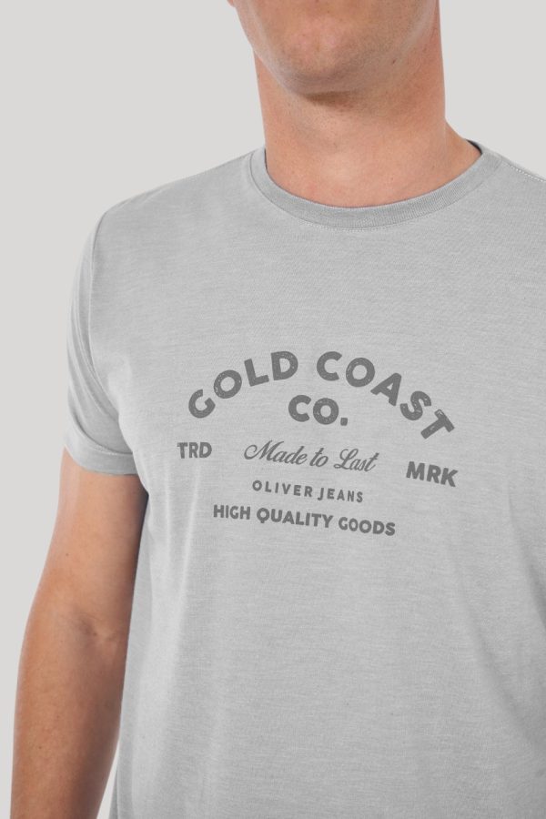 Remera color gris melange