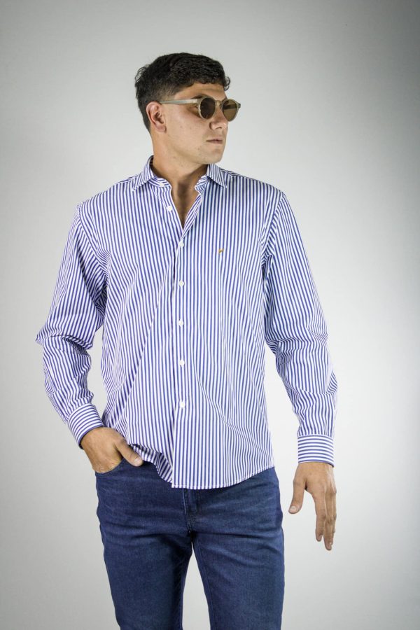Camisa rayada azul y blanco
