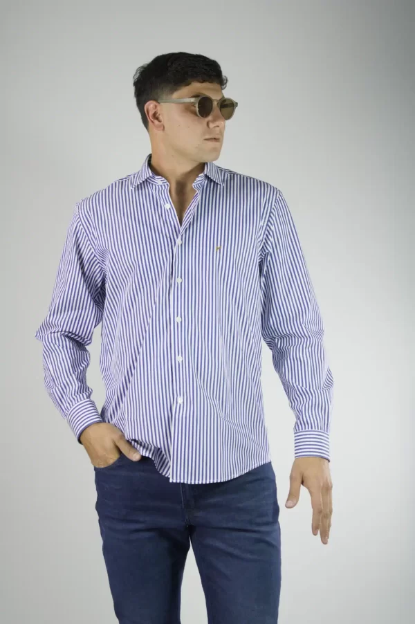 Camisa rayada azul y blanco