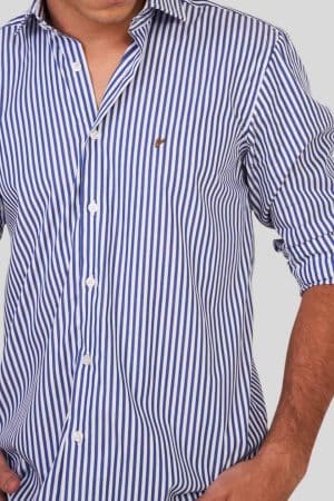 Camisa blanca con rayas azul intenso Jason