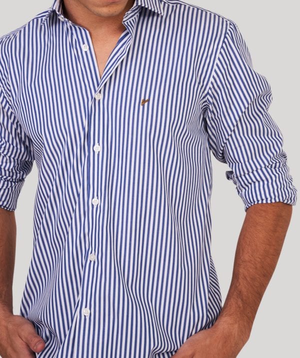 Camisa blanca con rayas azul intenso Jason