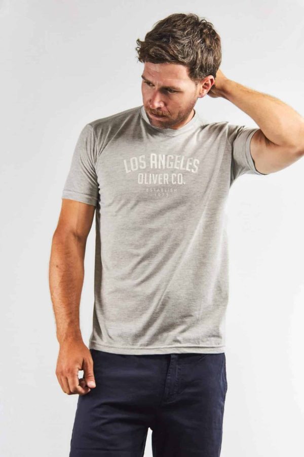 Remera color gris estampada