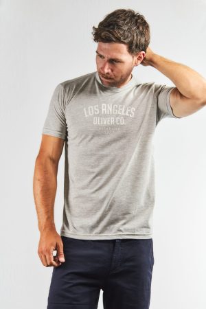 Remera color gris estampada