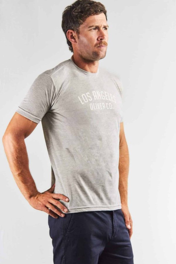 Remera color gris estampada