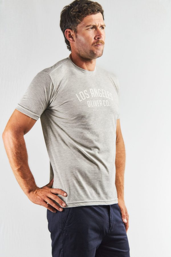 Remera color gris estampada